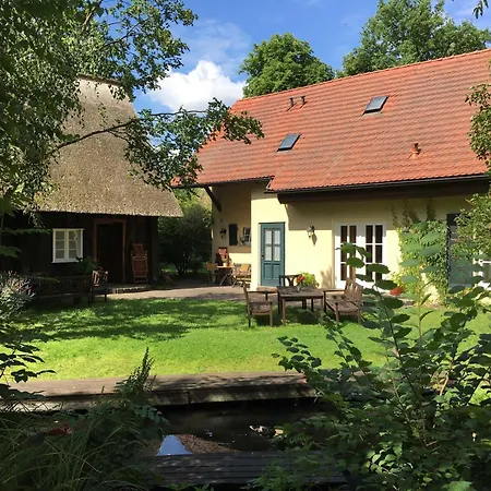 Fischotter Lübbenau